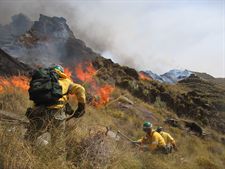 La Junta destina más de 4,2 millones de euros en ayudas para la prevención y control de incendios forestales