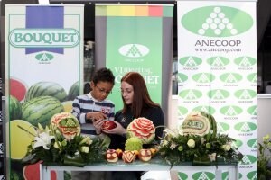 Anecoop incrementó su facturación en hortalizas un 7,5 por ciento