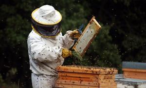 Asaja Almería analiza con los apicultores la nueva reforma de la PAC