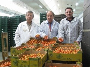 El 50% de las hortalizas que ha exportado España en los dos primeros meses del año han salido de Almería