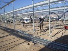 Los cultivos de invernadero se trasladan al recinto de Expo Agro Almería