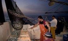 La Junta aprueba una subvención al Puerto de Almería para mejorar la seguridad de la Lonja del Pescado
