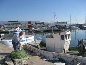 Las capturas excepcionales de caballa, jurel y pez espada incrementan un 130% la descarga de pescado en las lonjas de Almería