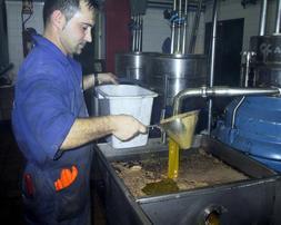 Asaja valora la apertura del almacenamiento privado para el aceite de oliva