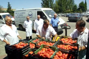 Aproa coordina la distribución gratuita de más de 1,1 millones de kilos de frutas y hortalizas