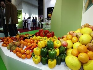 Empresas de Almería presentan sus frutas y hortalizas ante importadores de República Checa y Eslovenia