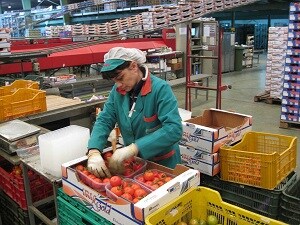 El valor de las exportaciones de frutas y hortalizas de Almería crece un 6,4% entre enero y abril