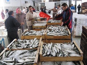 Almería exporta más de 1,8 millones de kilos de pescado y  marisco hasta junio, un 48% más que el año pasado