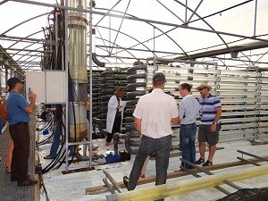 Cajamar investiga la ampliación de las utilidades agroalimentarias y energéticas de las microalgas