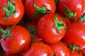 Un 38% menos de superficie de tomate para industria en la campaña 2012-2013