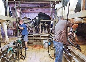 Agricultura trabaja en un proyecto para desarrollar nuevos envases bioactivos para productos lácteos