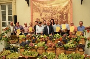 Diputación ayuda a recuperar más de 60 variedades de uva de la provincia de Almería