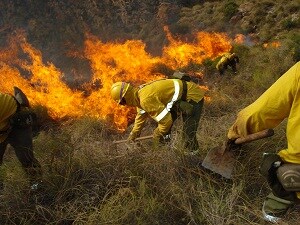 La campaña de extinción de incendios en la provincia de Almería se cierra con 847,7 hectáreas quemadas