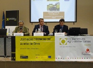 Faeca participa en el analisis del sector del aceite de oliva durante una jornada técnica en Villacarrillo (2)