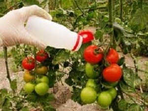 La Junta de Andalucía analiza junto con el sector la nueva normativa de uso sostenible de los productos fitosanitarios