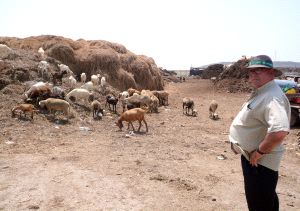 UPA pide a Arias Cañete que no “abandone definitivamente” la ganadería