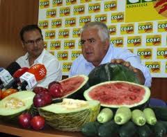 Coag-A considera que los presupuestos para 2013 no resuelven las demandas del sector agrario