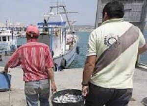 Arias Cañete: “Las mejoras sustanciales del futuro Fondo Europeo Marítimo y de Pesca responden a las demandas de España”