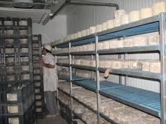 Almería ha exportado leche y queso por valor de 5,2 millones de euros entre enero y agosto, un 62% más que el año pasado