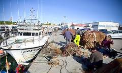 Mañana comienza el plazo para solicitar ayudas dirigidas a mejoras estructurales y modernización del sector pesquero