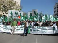 Asaja-Andalucía en busca de un plan estratégico que mitigue  la crisis del sector agrícola