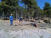 El Plan INFOCA de la Junta acometerá en 2013 el tratamiento de unos 1.800 kilómetros de cortafuegos en Almería