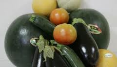 Miguel Arias Cañete: “La calidad de nuestras frutas y hortalizas es apreciada en todo el mundo”