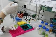 El laboratorio de Coexphal (Labcolor) acreditado para analizar todo tipo de alimentos