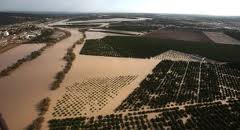 Las lluvias provocan graves problemas e importantes pérdidas a miles de agricultores españoles