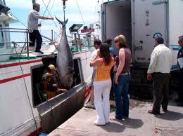 Andrés Hermida valora las iniciativas del proyecto Fedepesca-Innova para poner en valor el papel de las mujeres en el sector pesquero