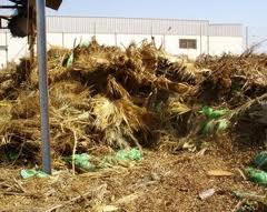 El comité ejecutivo de Asaja-Almería expresa su preocupación por la falta de soluciones en higiene rural