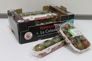 La comercialización del Kumato como variedad dentro de la IGP La Cañada lo convierte en un tomate único en el mundo