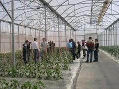La Junta de Andalucía imparte en La Mojonera un curso de fumigador para aplicadores de fitosanitarios