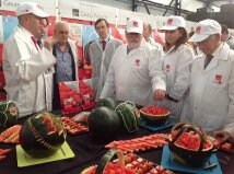 El Ministro de Agricultura, Miguel Arias Cañete, ha visitado las instalaciones de Agroponiente y ha conocido de primera mano los procesos de esta empresa y de Grupo Fashion