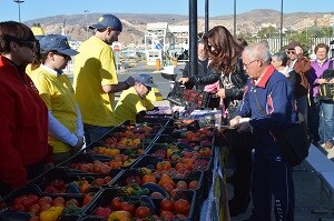 Mil cajas de hortalizas de Almería para ayudar a los damnificados de Filipinas