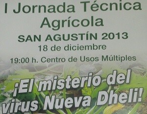 San Agustín acoge sus primeras jornadas técnicas agrícolas en las que se hablará del virus ‘New Dheli’