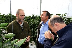 Chile conoce de la mano de Koppert los secretos de la gestión sostenible en cultivos hortícolas bajo plástico
