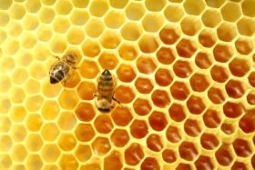 Cabanas valora la miel como «un bien intrasferible»