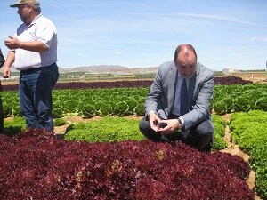 Almería aumenta un 5,2% el valor de las exportaciones de hortalizas frescas hasta abril y un 65% el de frutas