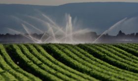 El 15% de la superficie agraria de regadío aporta el 50% de la producción en España