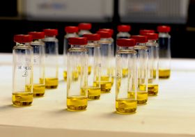 El Ministerio convoca los premios al mejor aceite de oliva virgen extra