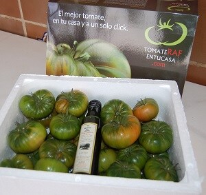Agroponiente comienza la temporada de venta de su tomate raf on line