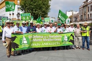 Asaja concentra a más de 1.500 ganaderos andaluces en defensa de la ganadería extensiva, la dehesa y el monte mediterráneo