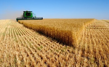 Agricultura resalta que la producción de cebada y avena en Andalucía ha aumentado más de un 55% en 2018
