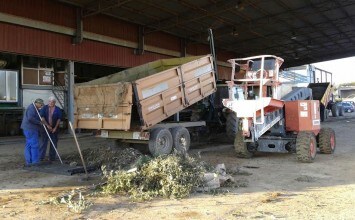 Agricultores denuncian una oleada de robos en almazaras y cooperativas de aceituna