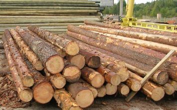 Validadas las primeras 100 licencias FLEGT que aseguran la legalidad de la madera que entra en España