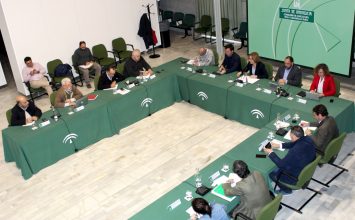 Andalucía creará un grupo de trabajo para “seguir de cerca” las negociaciones sobre la Política Agrícola Común tras 2020