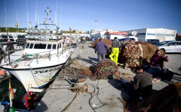 La Junta recibe más de 160 proyectos para impulsar la dinamización y sostenibilidad de las zonas pesqueras