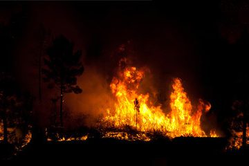 El fuego ha calcinado en España más de 84.000 hectáreas hasta el 3 de septiembre, más de lo que ocupa Madrid