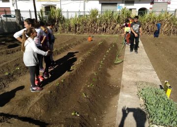 Labor agrícola, compostaje y alimentación sana se unen en un proyecto de huertos escolares
